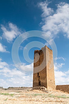 Castle of Luna (Aragon) in a summer day