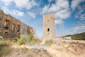 Castle of Luna (Aragon) in a summer day