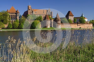 The castle Malbork photo