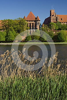 The castle Malbork
