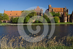 The castle Malbork