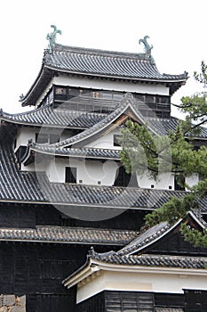 the castle of matsue (japan)