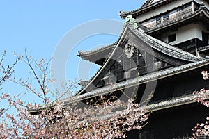 the castle of matsue (japan)