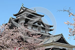 the castle of matsue (japan)