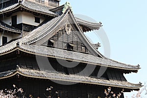 the castle of matsue (japan)