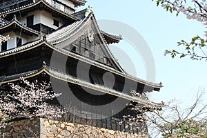 the castle of matsue (japan)