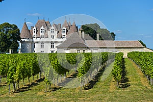 Castle Montbazillac-Vineyard of img