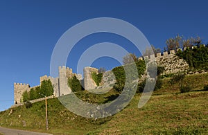Castle of Montemor o velho photo