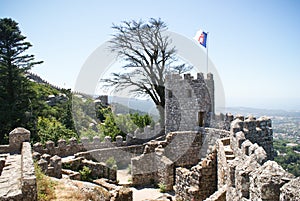 Castle of the Moors in Sintra