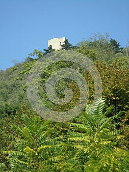 Castle mountain photo