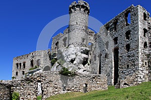Castle Ogrodzieniec