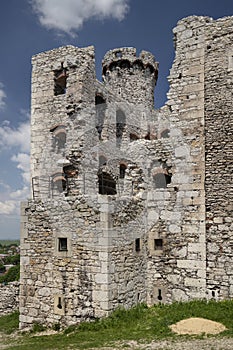 Castle Ogrodzieniec in Poland