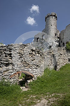 Castle Ogrodzieniec in Poland
