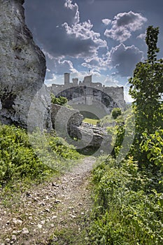 Castle Ogrodzieniec in Poland