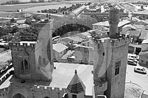 Castle of Olite in black and white