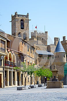 Castle of Olite from the town hall square