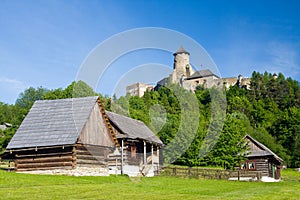 Castle and an open air folk museum