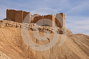 Castle at palmyra