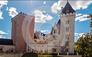 Castle of Pau, In Pyrenees Atlantiques, France