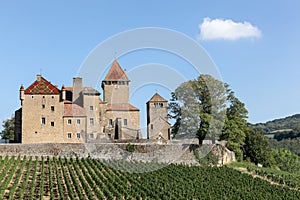 Castle of Pierreclos in Burgundy