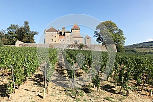 Castle of Pierreclos in Burgundy, France