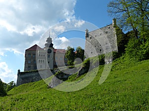 Castle in Pieskowa SkaÅ‚a