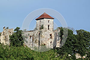 Castle in Poland