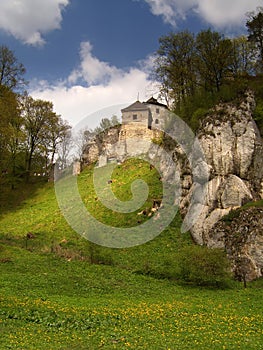 Castle in Poland