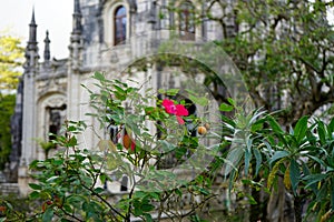 Castle of Quinta da Regaleira estate, Sintra, Portugal