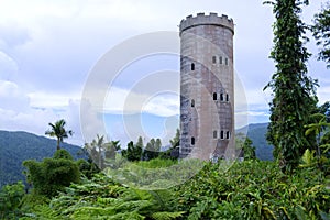 Castle in the Rainforest