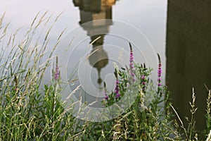 Castle reflexion on water in a park