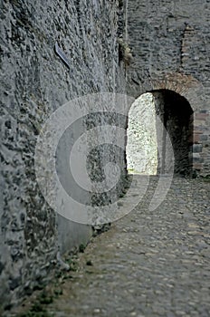 Castle- Rhine valley, Germany
