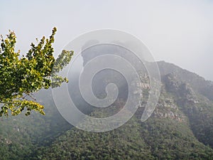 Castle Rock above Kirstenbosch gardens resembling a huge frog