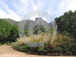 Castle Rock seen from Kirstenbosch Garden