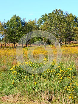 Castle Rock State Park Prairie