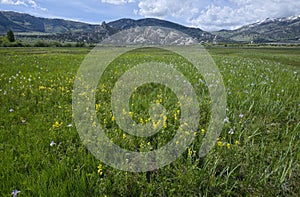 Castle Rocks State Park and meadow