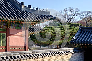 Castle of royal Changdeokgung Palace in Seoul, South Korea