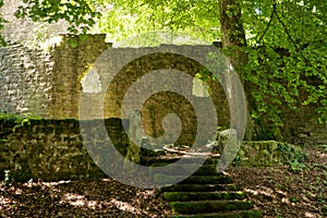 Castle ruin Stolzeneck along the long-distance hiking trail Neckarsteig