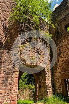 Castle ruin Stolzeneck along the long-distance hiking trail Neckarsteig