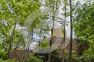 Castle, ruin, Valdek, stone, forest