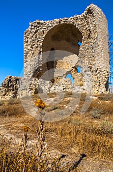 Castle Ruins