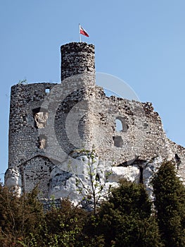 Castle ruins in Mirow