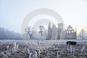 castle ruins in the morning sun