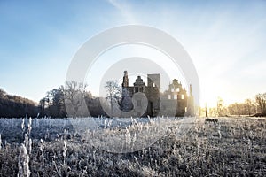 castle ruins in the morning sun