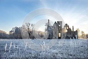 castle ruins in the morning sun