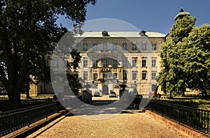 Castle in Rydzyna