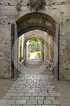 Castle's gate.