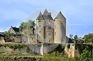 Castle of Salignac in France photo