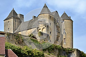 Castle of Salignac in France photo