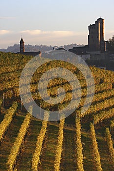 Castle of Serralunga d'Alba in the Langhe